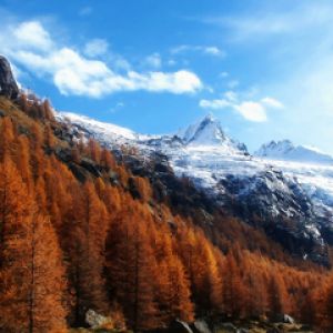 Gran Paradiso