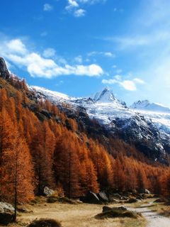 Gran Paradiso