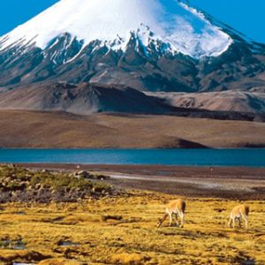 Chile Atacama