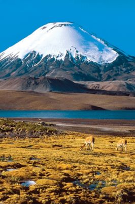 Chile Atacama