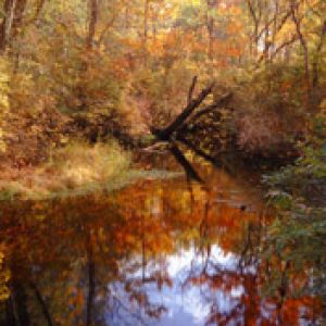 Tuckahoe River Fall Reflections