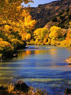 New Mexico - Rio Grande