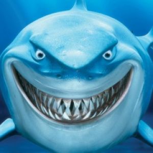 SharkÂ´s Smile