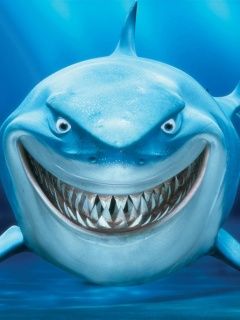 SharkÂ´s Smile