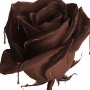 Chocolate Rose