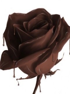 Chocolate Rose