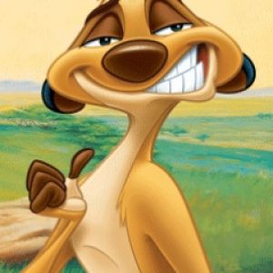 Timon