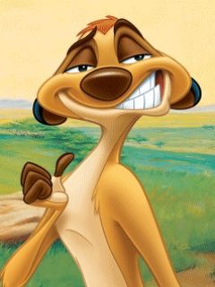 Timon