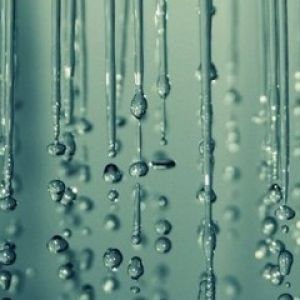 Water Drops