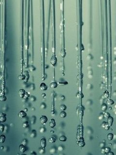 Water Drops