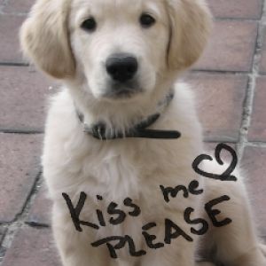 Kiss me Please
