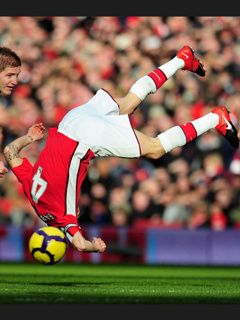 Cesc F?bregas