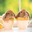 Two Rabbits