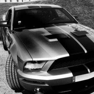 Shelby