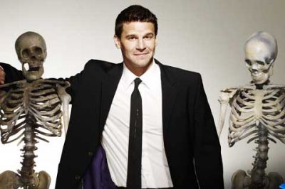 Bones