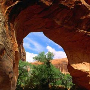 Coyote Natural Bridge - Glen Canyon - Utah