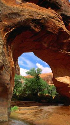 Coyote Natural Bridge - Glen Canyon - Utah