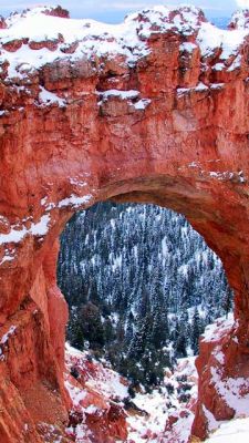 Natural Bridge in Bryce Canyon