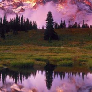 Mount Rainier