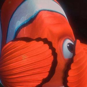 Nemo