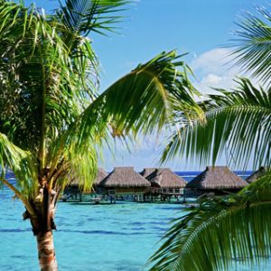 Moorea