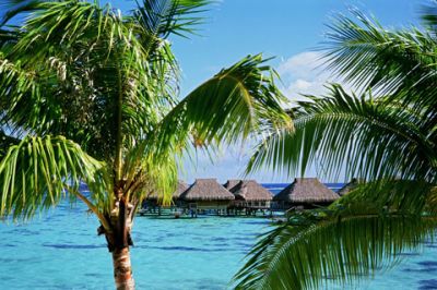 Moorea
