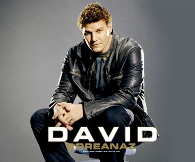 David Boreanaz