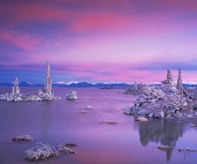 Tufa Grove - California