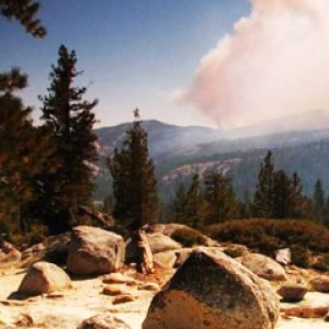 Yosemite Forest Fire 