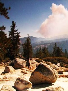 Yosemite Forest Fire 