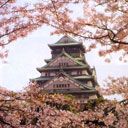 Osaka Castle