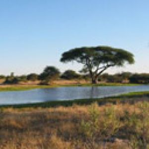 Sandibes Botswana