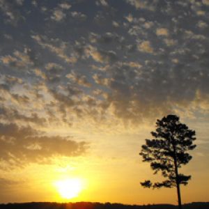 Arkansas Sunset
