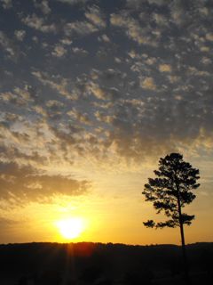 Arkansas Sunset