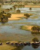Safari by Botswana Odyssey
