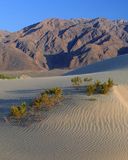 Death Valley