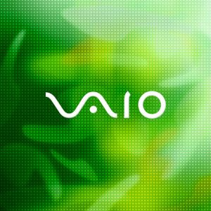 Sony Vaio