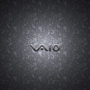 Sony Vaio