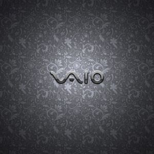 Sony Vaio