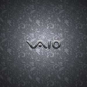 Sony Vaio