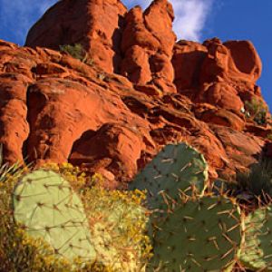 Arizona - Red Rock