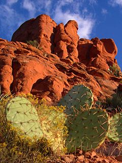 Arizona - Red Rock