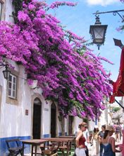 Obidos