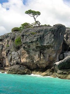 Secret Beach - Timor