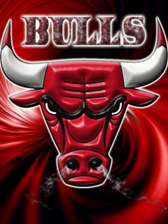 Chicago Bulls