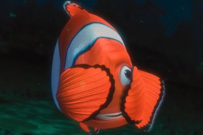 Nemo