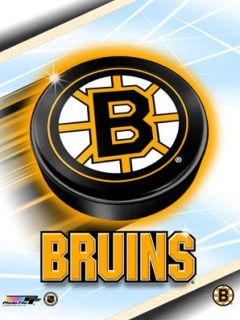 Boston Bruins