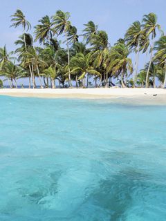 Los Grillos Islands - Panama