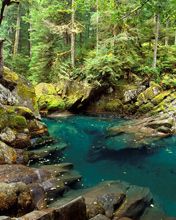 Ohanapecosh River - Mt Rainier