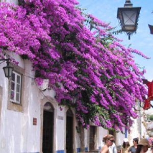 Obidos